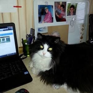 Meet your Posher, Nancy